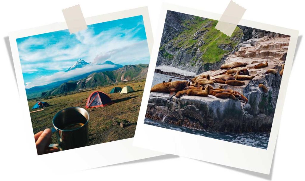 Отдых на Камчатке 2026